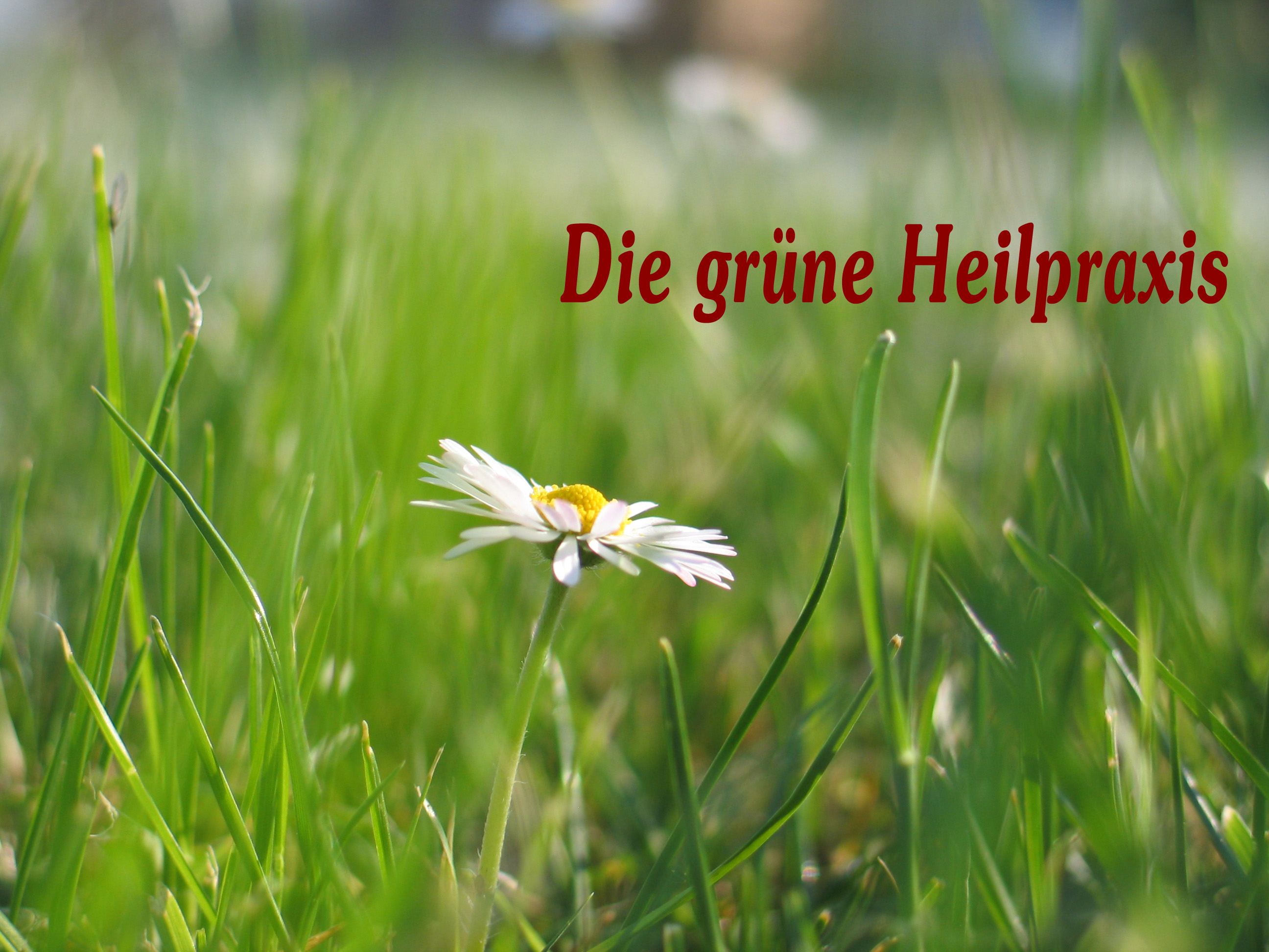 www.Die grne Heilpraxis.de